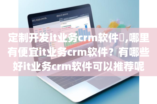 定制开发it业务crm软件​,哪里有便宜it业务crm软件？有哪些好it业务crm软件可以推荐呢