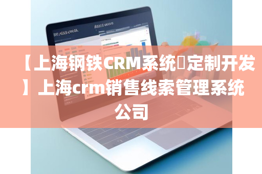 【上海钢铁CRM系统​定制开发】上海crm销售线索管理系统公司